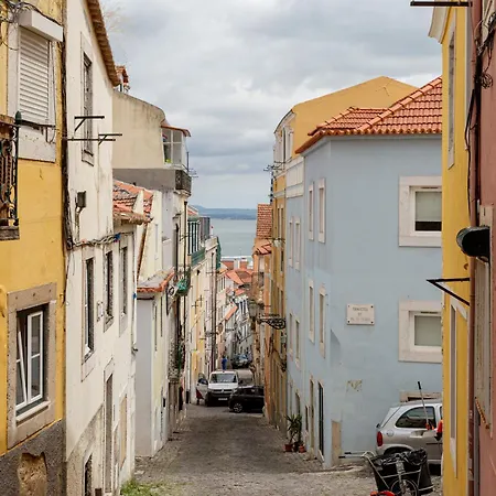 Quiet Bloom - In Estrela Lissabon
