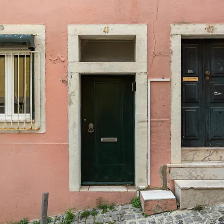 Quiet Bloom - In Estrela